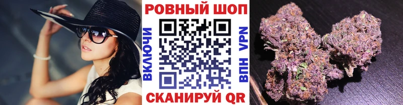 Галлюциногенные грибы Севск