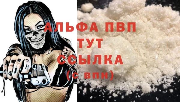 Альфа ПВП Белокуриха