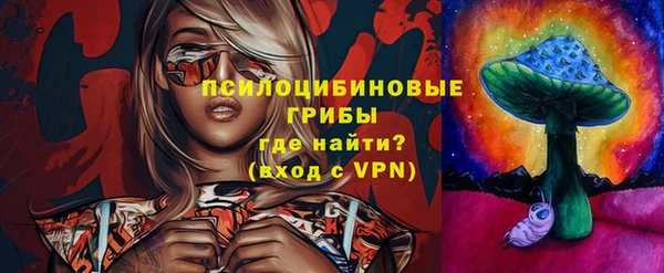 Альфа ПВП Белокуриха