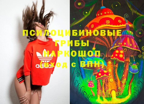 Альфа ПВП Белокуриха
